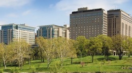Washington University in St Louis Washington University in St Louis